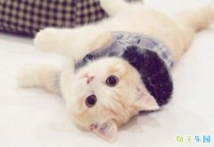 �ռ�ǩ��Ψ������ �ʺ�����ǩ��Ψ���̾�
