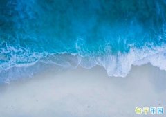 ���鲻�õ�˵˵Ű�� �������鲻�õ�˵˵ǩ��