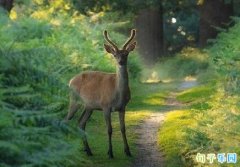 ���ݴ���Ķ̾� ���ڴ�������վ���