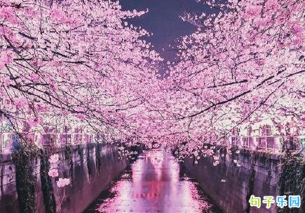 三月晚安心语句子 三月晚安说说发朋友圈