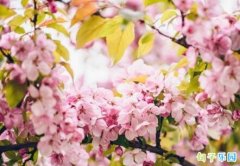 ��Ů��ף�ش� ���˸�Ů�ڼ���