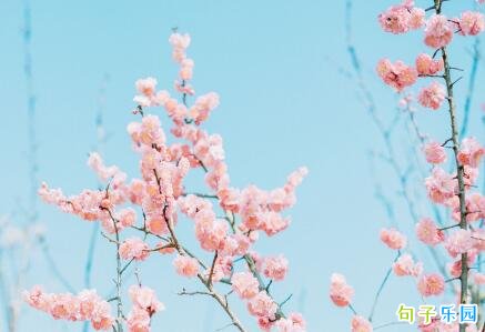 2020关于春分的微信说说 春分节气文案发朋友圈