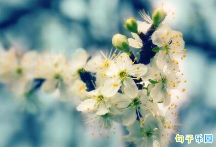 ���ڴ��ֵ��簲�� �ʺϴ��ַ����簲����