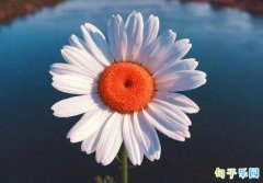 �����簲���� ӭ�����µ��簲����