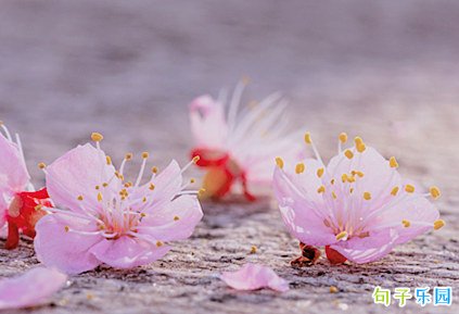�ŷ�������̾� ������Ĺŷ���׾���