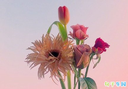 一个月刚开始的句子 新的一月怎么发朋友圈