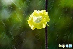 ������Ψ��˵˵ ����������ǩ���̾�