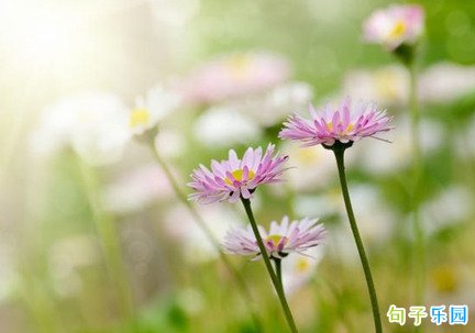 ��ʾ��������ľ��� ��д������Ũ�ľ���