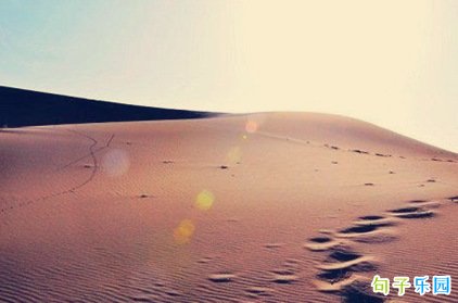 һ�����ǲ�����ľ�����־