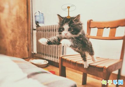 �簲���ĸ�Ц���� ��Ц���Ϻõ�˵˵����