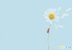 �ɾ������İ� �����ɾ����İ�