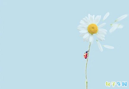 �ɾ������İ� �����ɾ����İ�
