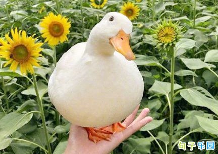���ֶ��ص����ҽ��� ���ָ��˽��ܼ����Ĭ