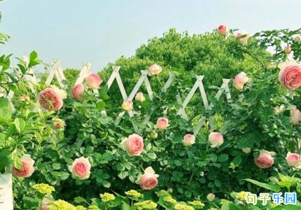 �������վ��� ���Ļ���Ψ������