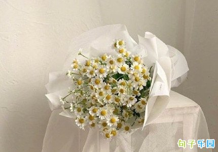 ��һ�ڶ���ף�� 2020�����Ͷ���ף���ﾫѡ
