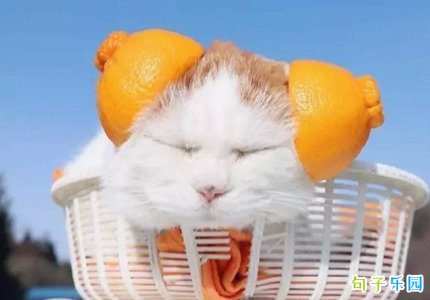 ��ʫ��Ц��� ����Υ�͸е�ʫ���ҽ�