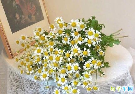 关于五四青年节的句子 祝福五四青年节快乐的句子