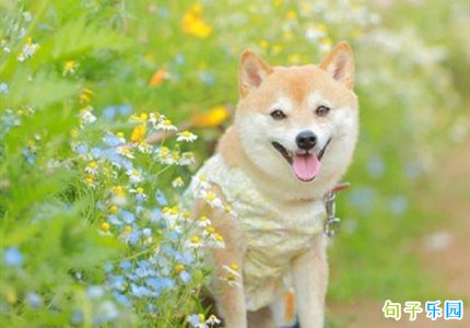 �ļ�����Ȧ�İ� ����������İ��̾�
