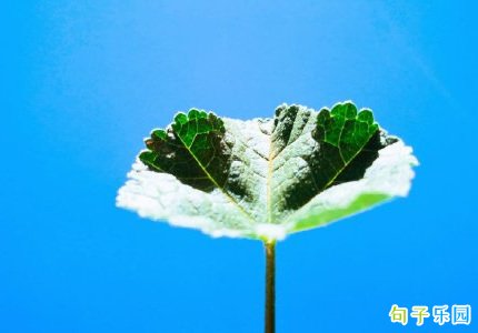 �����簲���� �����ټ�������õľ���