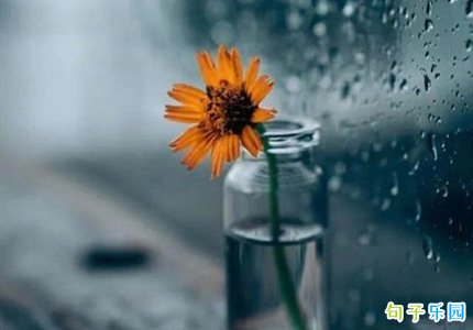 ʹ����İ� �����������İ�