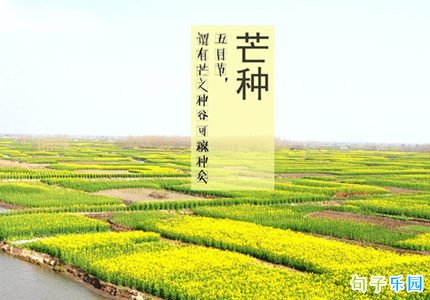 适合芒种发的句子 2020芒种的文案