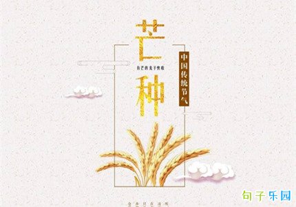 芒种简短的祝福语 芒种节气优美祝福语