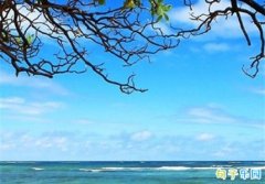 �ʺ����췢���İ� ϲ�������˵˵����