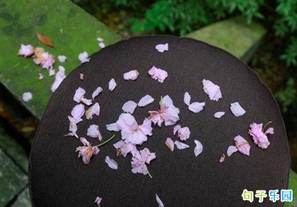 �ʺ�ժ�������������� д��ժ�����ϵĺþ�ö�