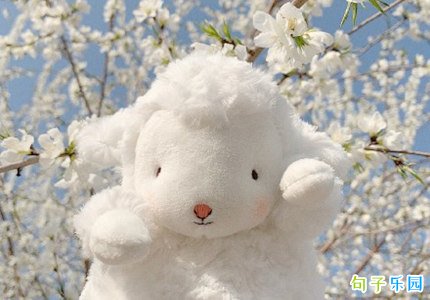 �������Ϻ��ʺ� �����簲�ʺ�˵˵