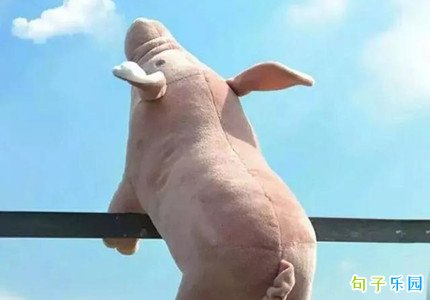���￪�Ŀ��ֵ��İ� ���ļ�̵�����Ȧ�İ�