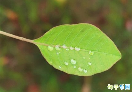 ���ʺ�������Ψ������ �ֻ�����ǩ����ȫΨ��
