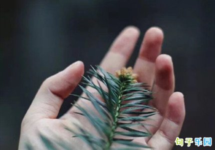 让人看到哭的文案 伤感的文案让人想哭