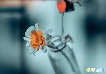 �ʺϷ�΢���İ����İ� ΢��˵˵�������