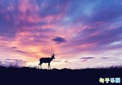 �ܽ��ϰ���չ���°����˵˵