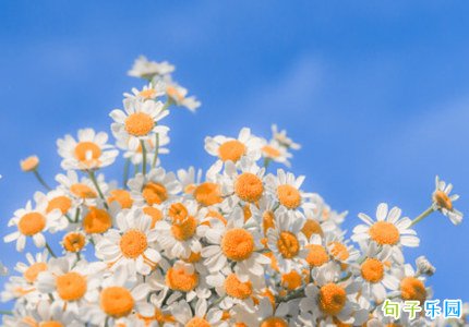 �°��꿪ʼ������Ȧ�ľ��� ϣ���°���Խ��Խ�õľ���