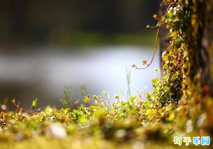 最经典的短句发朋友圈 适合发朋友圈的金句