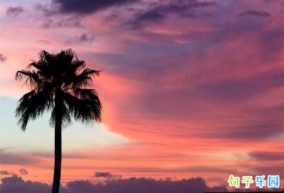 Ů��ר�����˾��� Ů��������Ȧ�����˶̾�