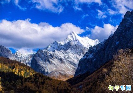 С����ܻ�ľ��� С���龭����¼�İ�