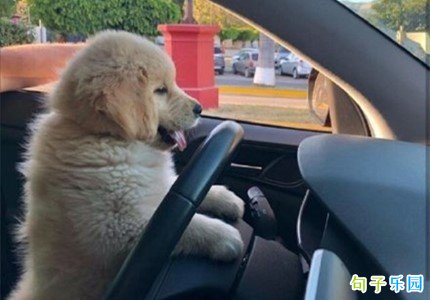 ɳ����Ƥ�������� �������ѵ�ɳ��������