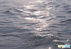 �ź����İ��̾� �����ź��������İ�