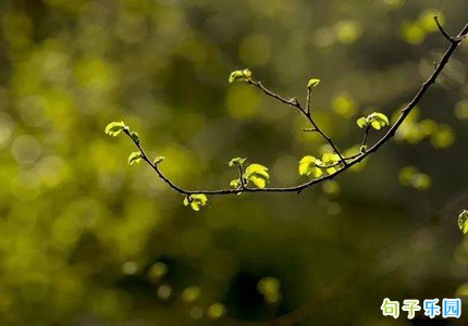 ��������Ӣ���İ� ����������Ӣ���İ�