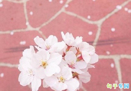优雅的文案句子 优雅朋友圈文案