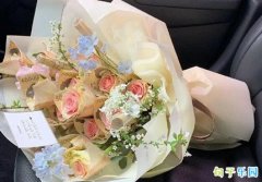 ��Ϧ���׵ľ��Ӹ���������