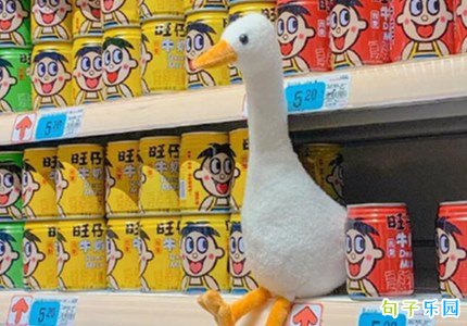 ɧ���ں��ľ��� ������Ȧ��ɧ������