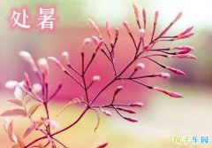 ������η�ף���� ���������ף����