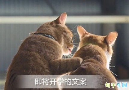 ������ѧ���İ� �＾��ѧ����Ȧ�İ�