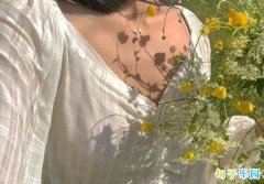 �����İ��̾�˵˵ �����˵�����İ��̾�