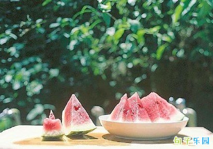 ���ŵ�����Ȧ�İ� ���ŵĸ���ǩ���̾�