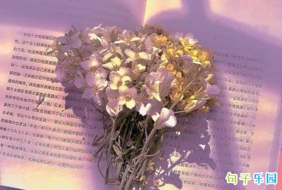 �����İ��̾� �ʺϷ�Ȧ�������İ�