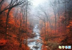 ����������ˬ��˵˵ ����ת��������Ȧ